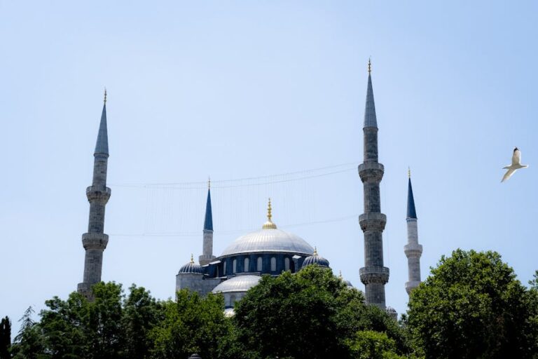 Stunning view of the Blue Mosque's domes and minarets against a clear sky in Istanbul.