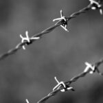 Black and white macro shot of barbed wire, blurring the background for an abstract feel.