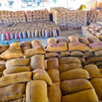 yogi-government-change-system-of-food-distributing-grains-for-ration-card-holders-in-up-153152412-16x9.png